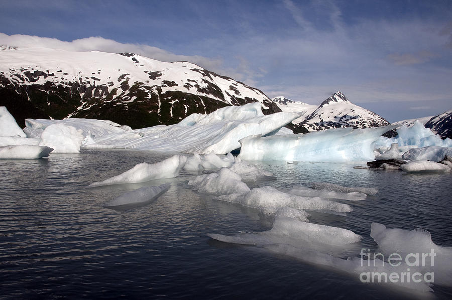 Alaskan Iceberg #4 Photograph by Mark Newman