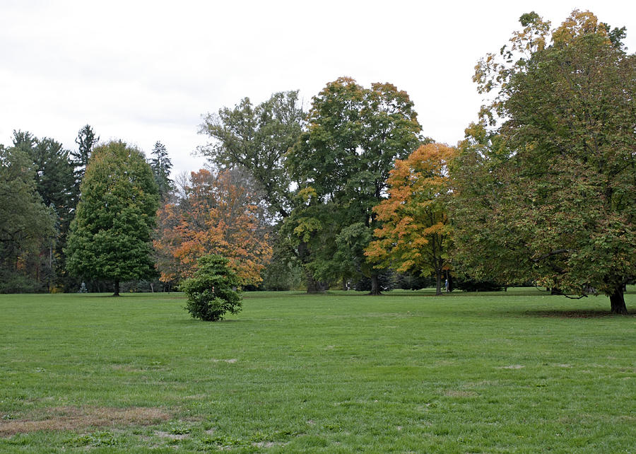 An Autumn View At The Vanderbilt Estate Photograph