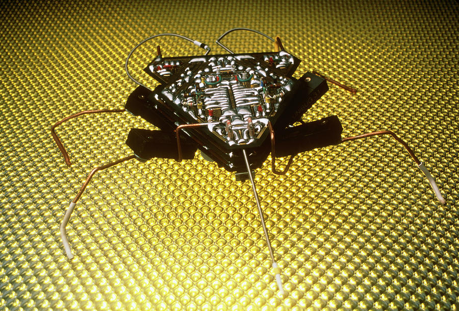 Analogue Robot Insect #4 Photograph by Peter Menzel/science Photo Library