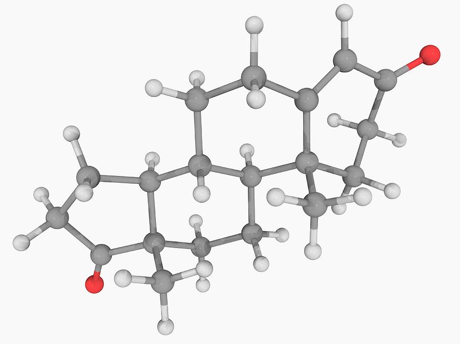 Androstenedione Hormone Molecule Photograph by Laguna Design/science ...