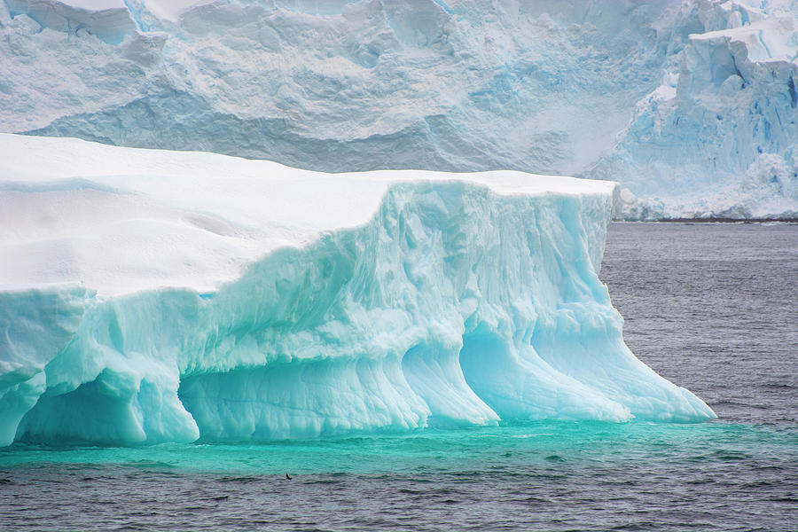 Antarctica Gerlache Strait Iceberg Photograph by Inger Hogstrom - Fine ...