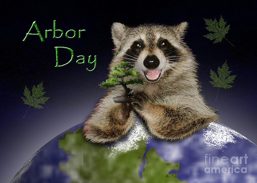 Nature Digital Art - Arbor Day Raccoon #4 by Jeanette K