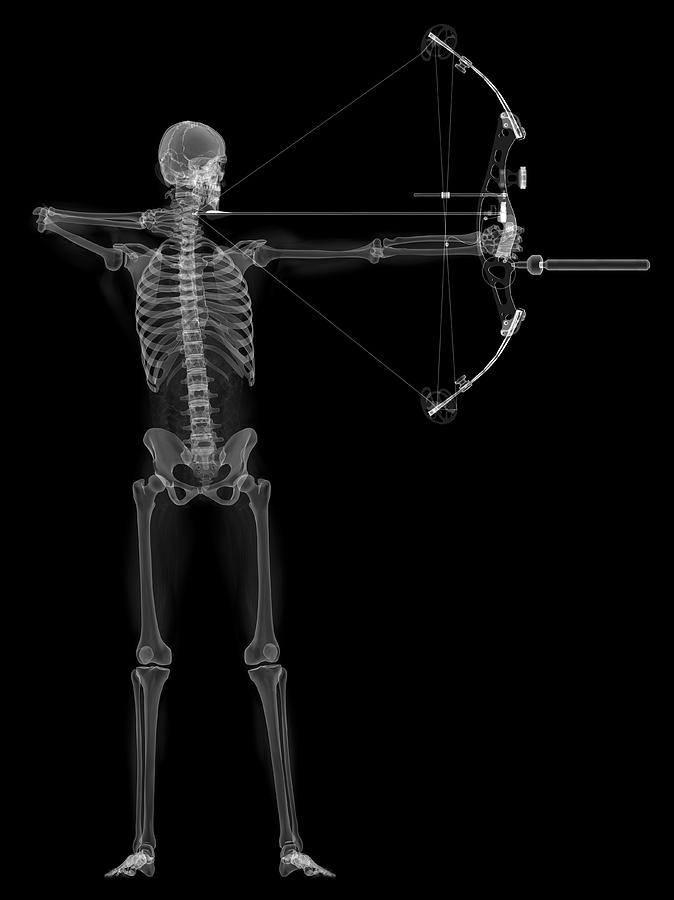 Black And White Photograph - Archer #4 by Sciepro/science Photo Library