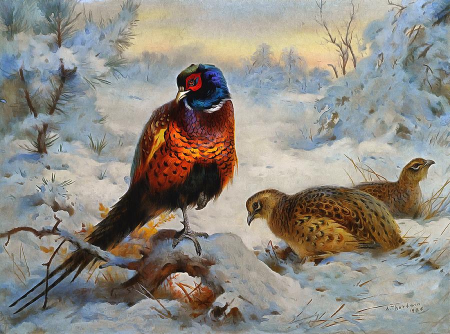 Cock And Hen Pheasant In Winter Painting by Archibald Thorburn