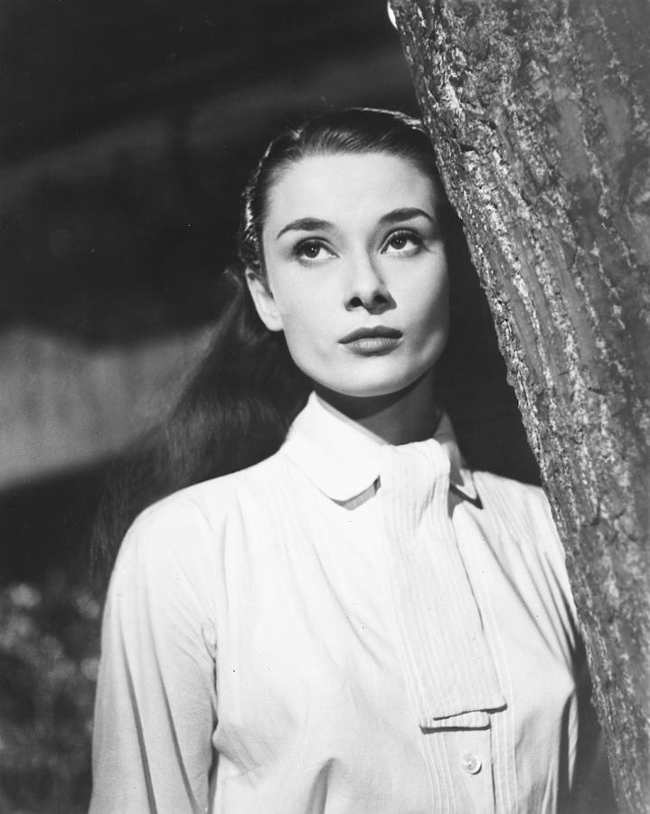 Audrey Hepburn Photograph - Audrey Hepburn #4 by Silver Screen
