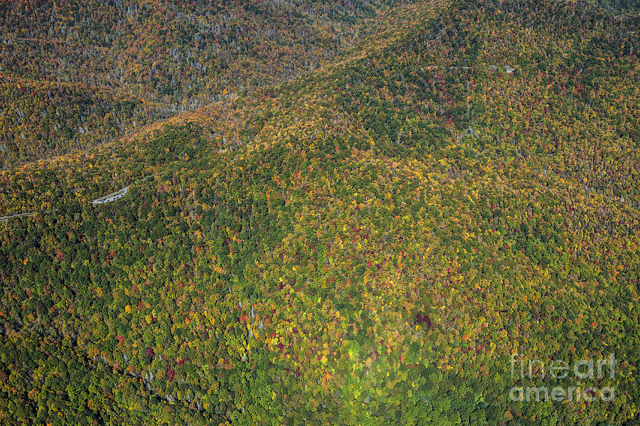 Autumn Colors Along The Blue Ridge Parkway in Western North Carolina #4 Photograph by David Oppenheimer