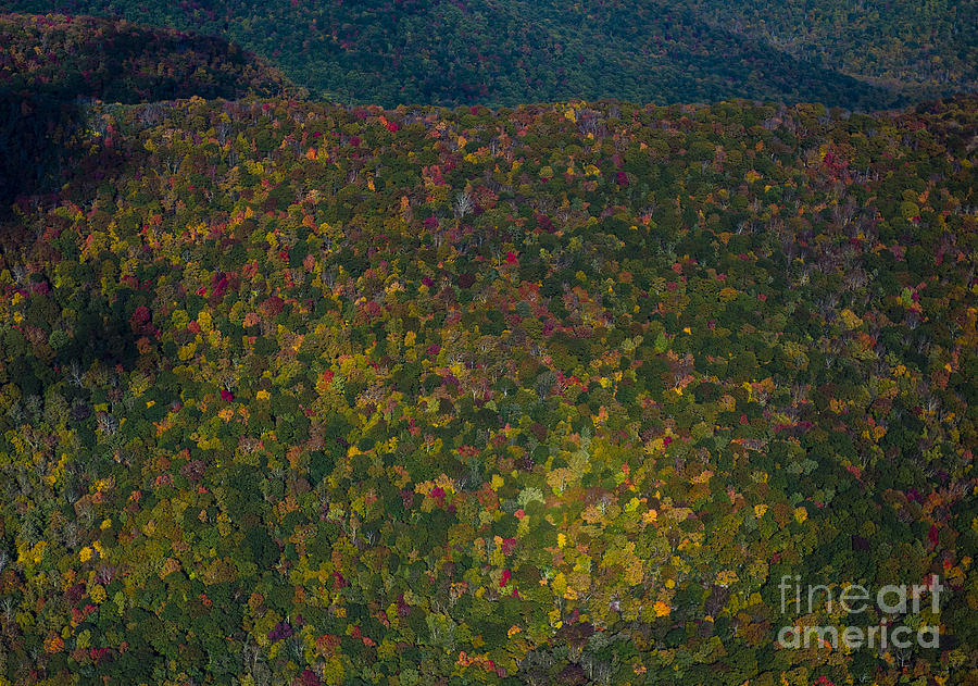 Autumn Colors at Craggy Gardens along the Blue Ridge Parkway #4 Photograph by David Oppenheimer