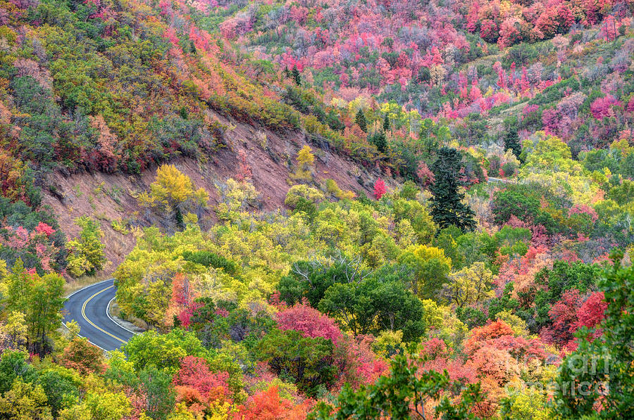 Fall Photograph - Autumn Drive through East Canyon - Utah #4 by Gary Whitton