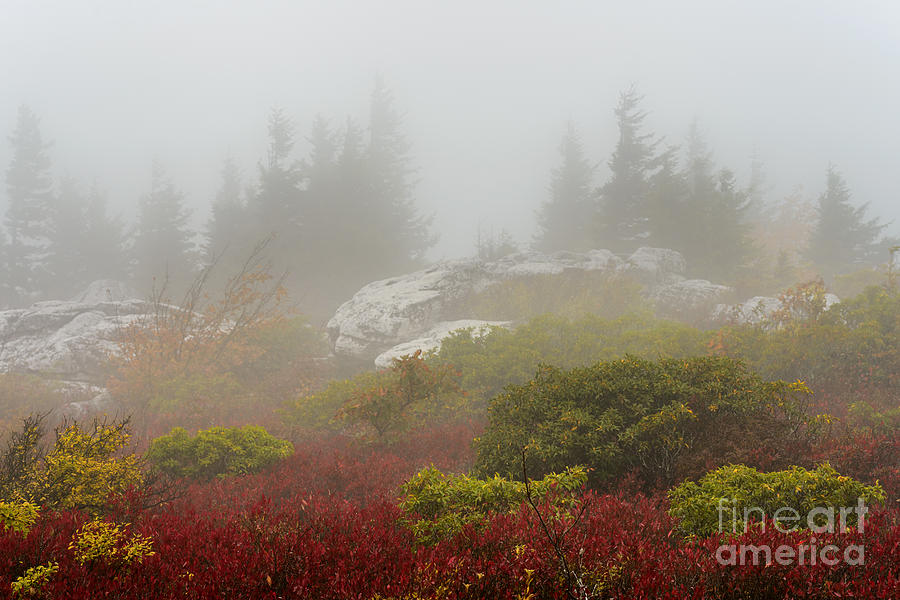 Autumn Fog Bear Rocks #4 Photograph by Thomas R Fletcher