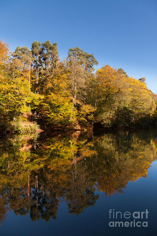 Autumn Trees Reflected In Still Lake #4 Photograph by Peter Noyce
