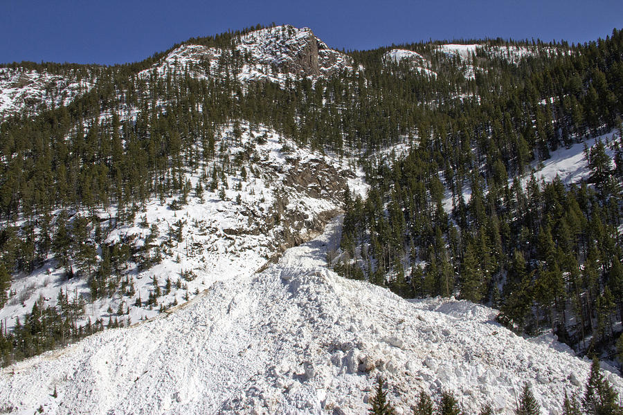 Avalanches In Colorado #4 Photograph by Greg Ochocki