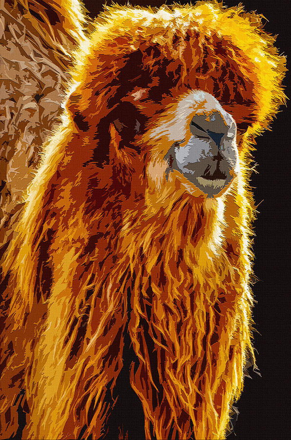Bactrian camel #5 Digital Art by Brian Stevens