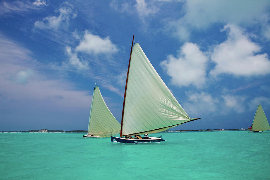 Bahamian Racing Sloop At The Annual Photograph by Panoramic Images ...