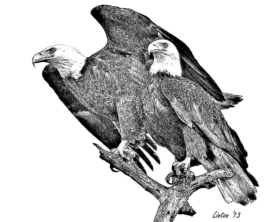 Bald Eagle Pair Digital Art by Larry Linton