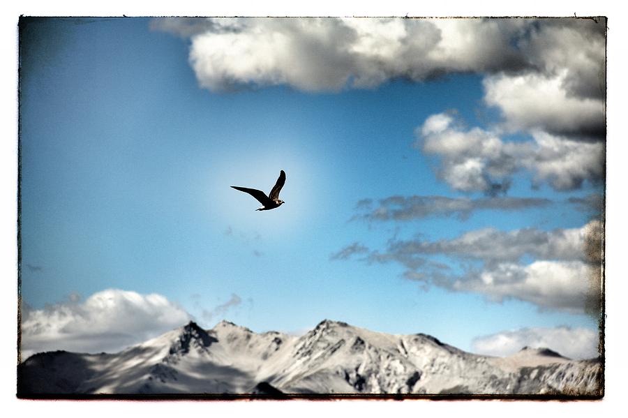 Bariloche Argentina #4 Photograph by Jim McCullaugh