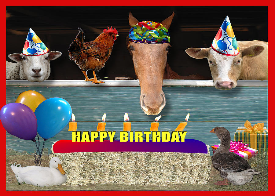 Animal Photograph - Barnyard Birthday Bash by Jennifer Schwab