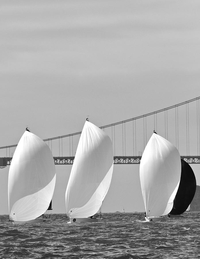 Bay Spinnakers #4 Photograph by Steven Lapkin