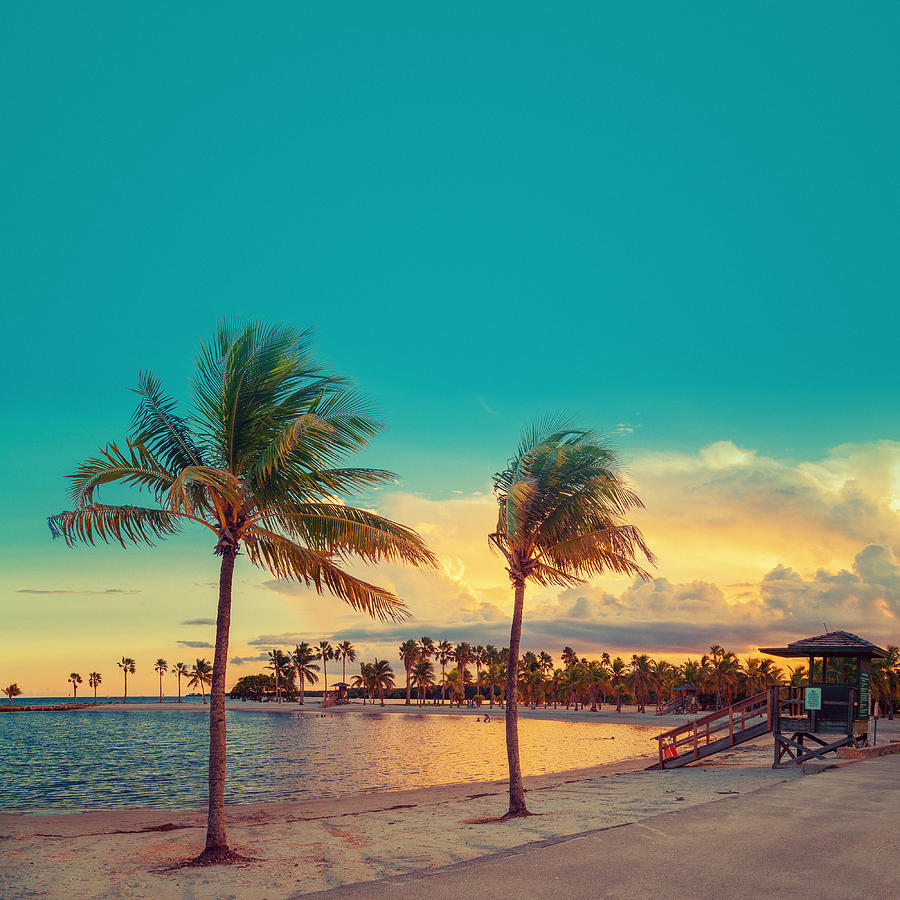 Beach Miami #4 Photograph by Thepalmer