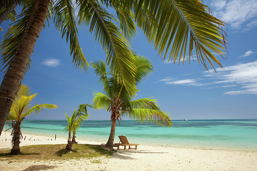 Beach, Palm Trees And Lounger Photograph by David Wall - Fine Art America
