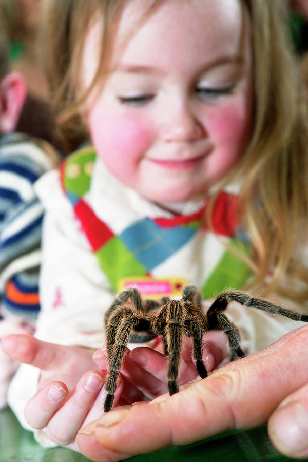 Biology Lesson Photograph by Gustoimages/science Photo Library - Fine ...