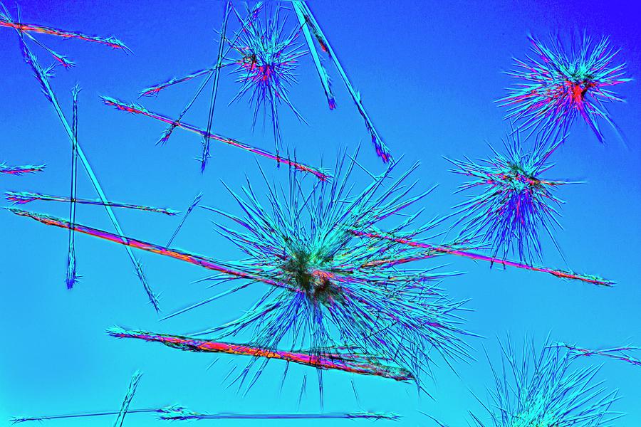 Nutritional Supplement Photograph - Biotin Crystals by Antonio Romero Nutritional Supplement Photograph - Biotin Crystals by Antonio Romero