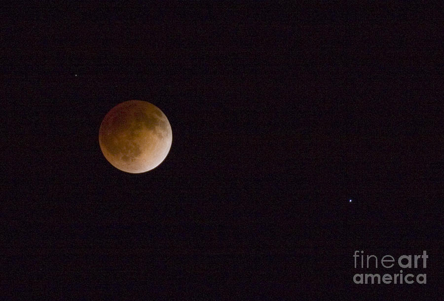 Blood Moon #4 Photograph by Steven Krull