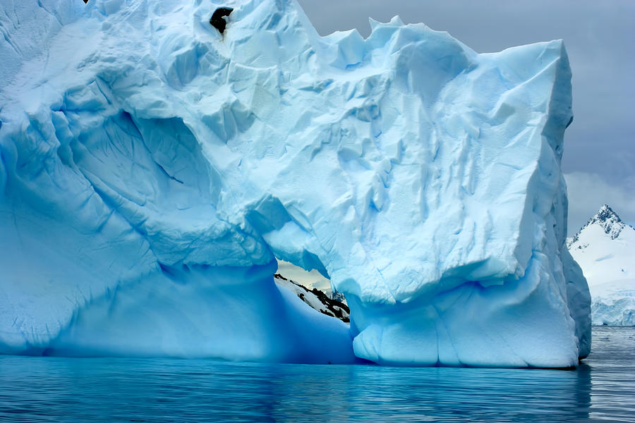 Penguin Photograph - Blue Iceberg #4 by Amanda Stadther