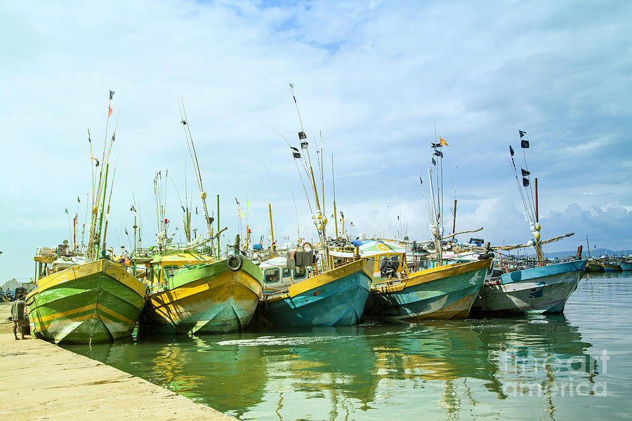 boats in the harbour of Mirissa on the tropical island of Sri Lanka #4 Photograph by Gina Koch