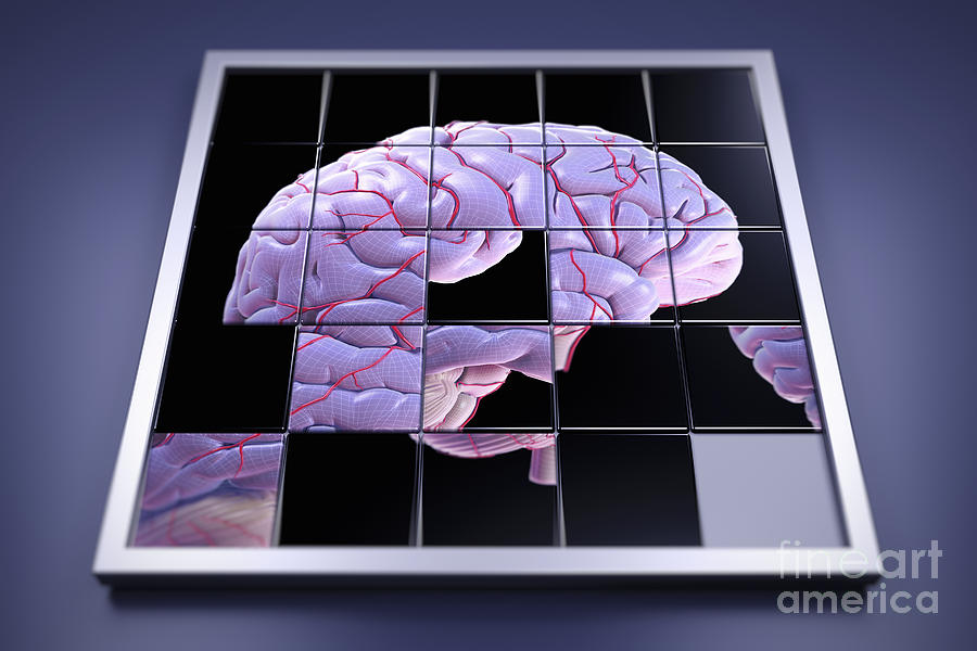 Horizontal Photograph - Brain Puzzle #4 by Science Picture Co