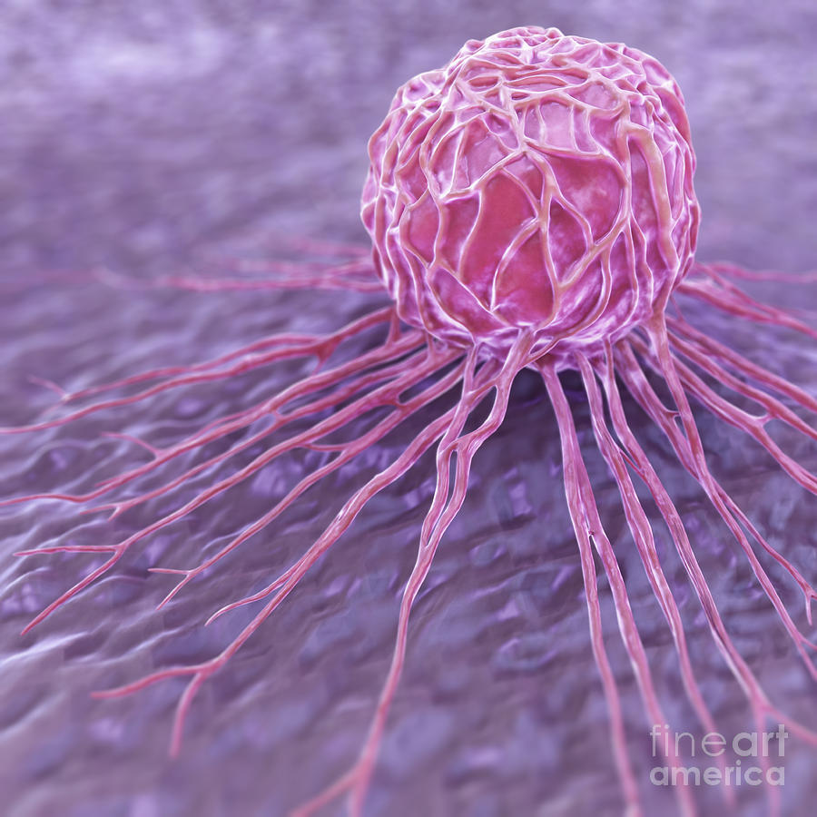 Breast Cancer Cell #4 Photograph by Science Picture Co