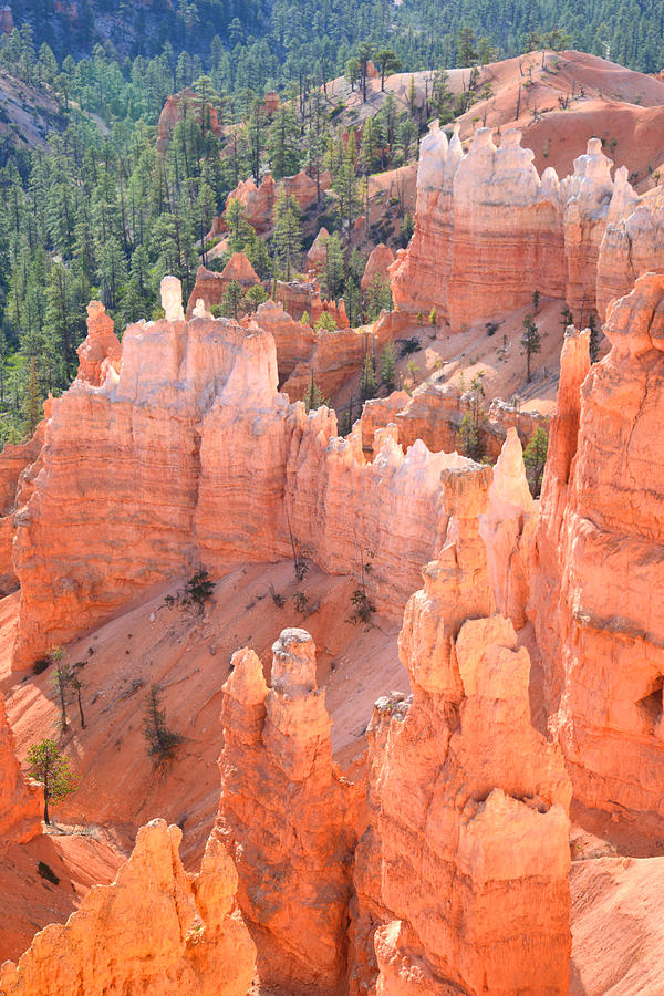 Bryce Canyon #21 Photograph by Ray Mathis