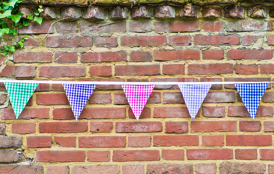 Bunting Photograph - Bunting #4 by Tom Gowanlock