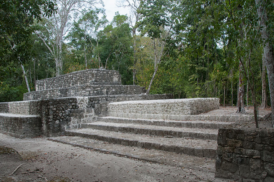 Calakmul Mayan Ruins #4 Digital Art by Carol Ailles