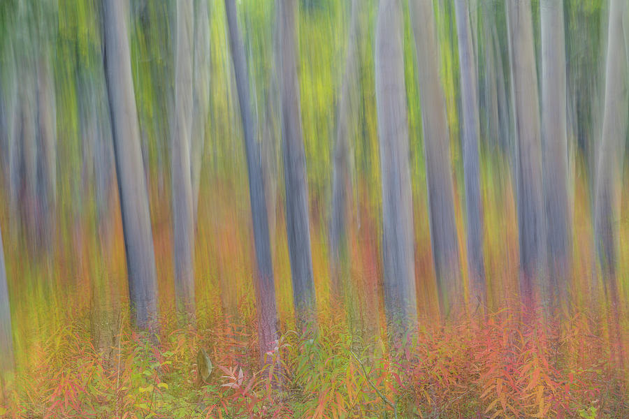 Abstract Photograph - Canada, Yukon, Kluane National Park #4 by Jaynes Gallery