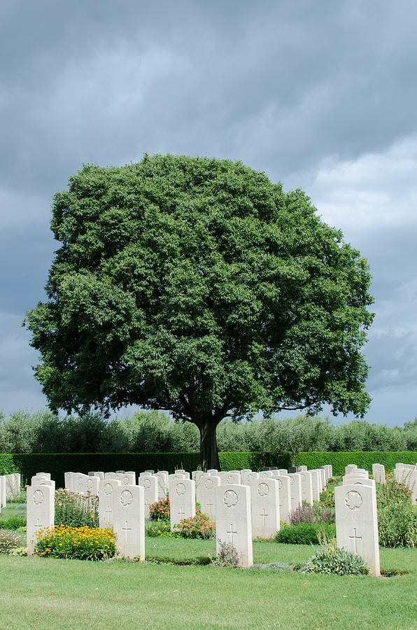 Canadian War Cemetery #4 Photograph by AM FineArtPrints