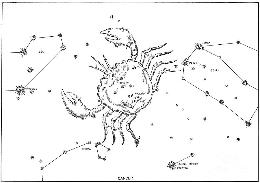 Sign Photograph - Cancer Constellation, Zodiac Sign #4 by Science Source