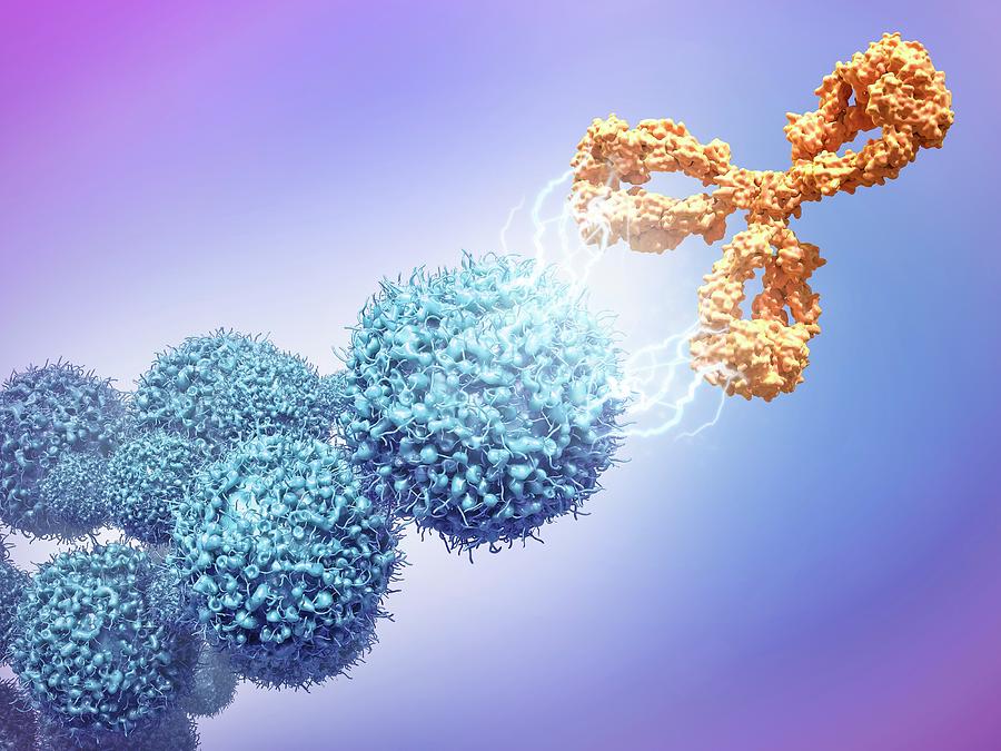 Cancer Drug Attacking Cancer Cells #4 Photograph by Maurizio De Angelis