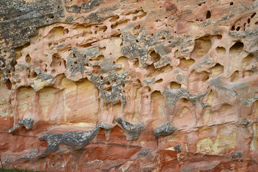 Capitol Reef Wall Art #25 Photograph by Ray Mathis
