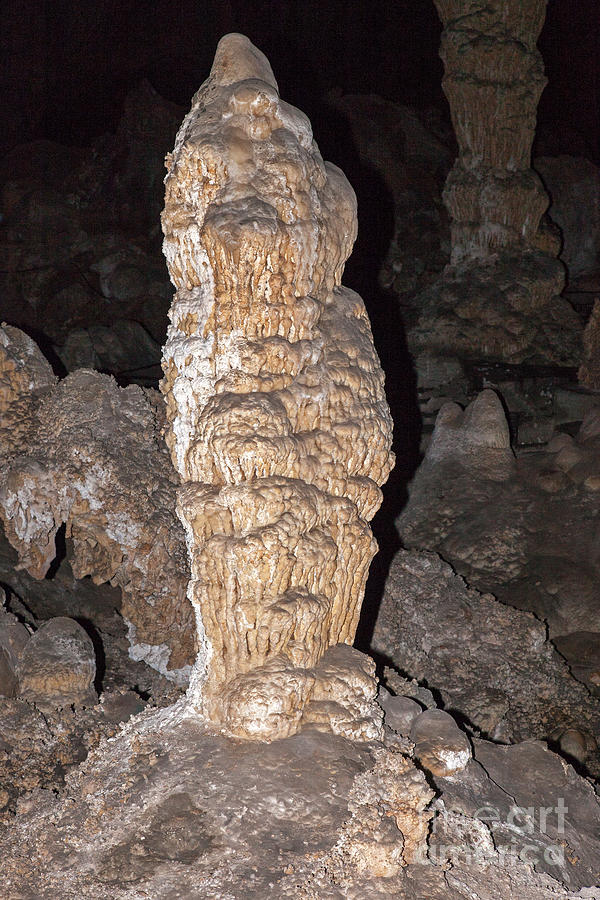 Carlsbad Caverns National Park #4 Photograph by Fred Stearns