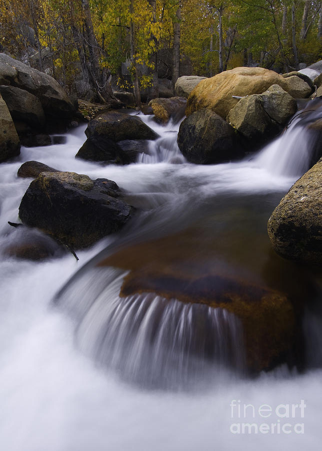 Cascading Stream #4 Photograph by John Shaw