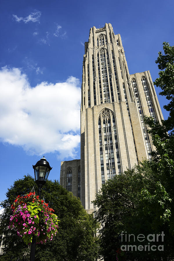 Cathedral Of Learning Photograph