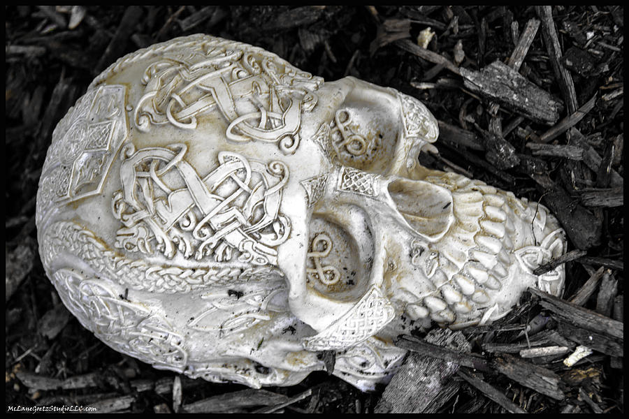 Celtic Skulls Symbolic Pathway to the other world #4 Photograph by LeeAnn McLaneGoetz McLaneGoetzStudioLLCcom