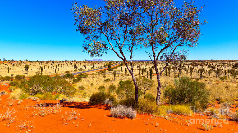 Central Australia #8 Photograph by Bill  Robinson