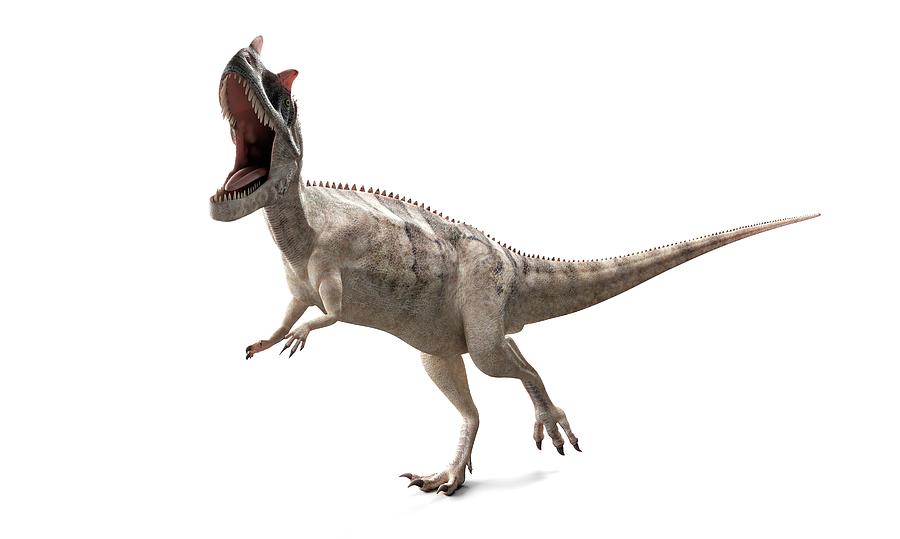 pro ceratosaurus