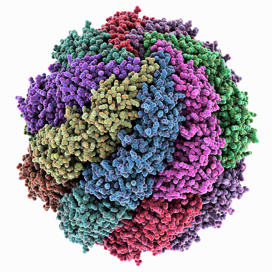 Chaperonin Folding Protein #4 Photograph by Laguna Design