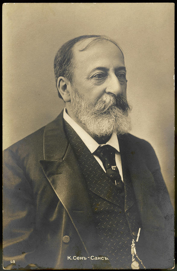 Portrait of Charles Camille Saint-Saëns (1835 - 1921) - The Online Portrait  Gallery