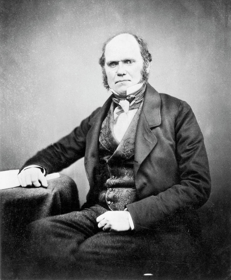 Charles Robert Darwin (1809-1882) Photograph By Granger - Fine Art America