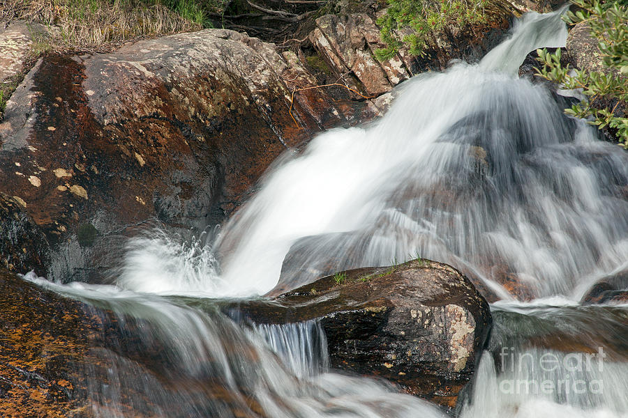 Chasm Falls on Fall River in Rocky Mountain National Park #4 Photograph by Fred Stearns