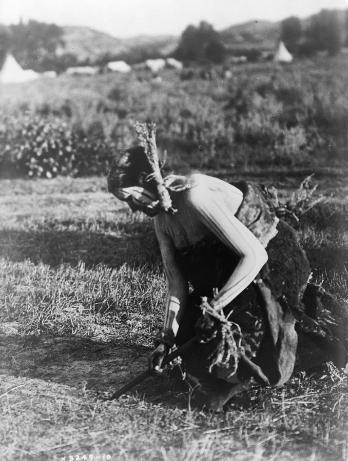 Cheyenne Sun Dance, C1910 #4 Photograph By Granger - Pixels