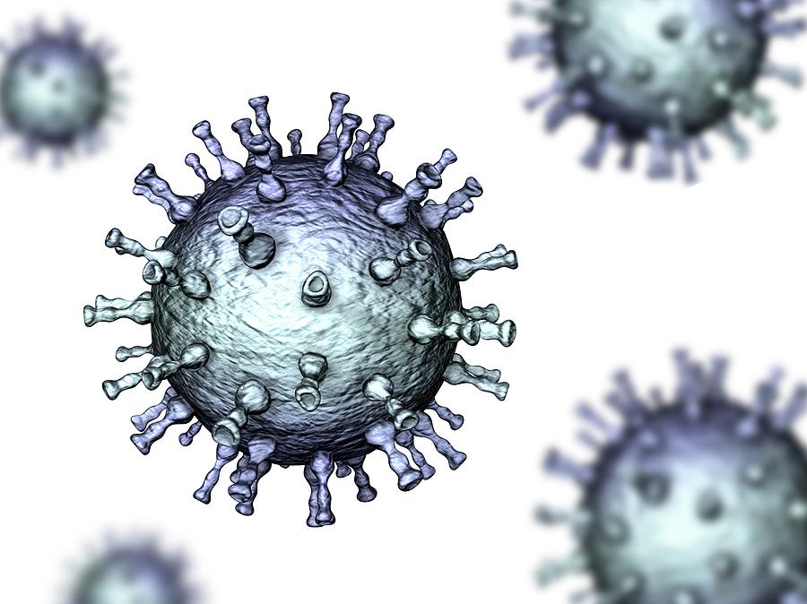 Chickenpox Virus #4 Photograph by Kateryna Kon/science Photo Library